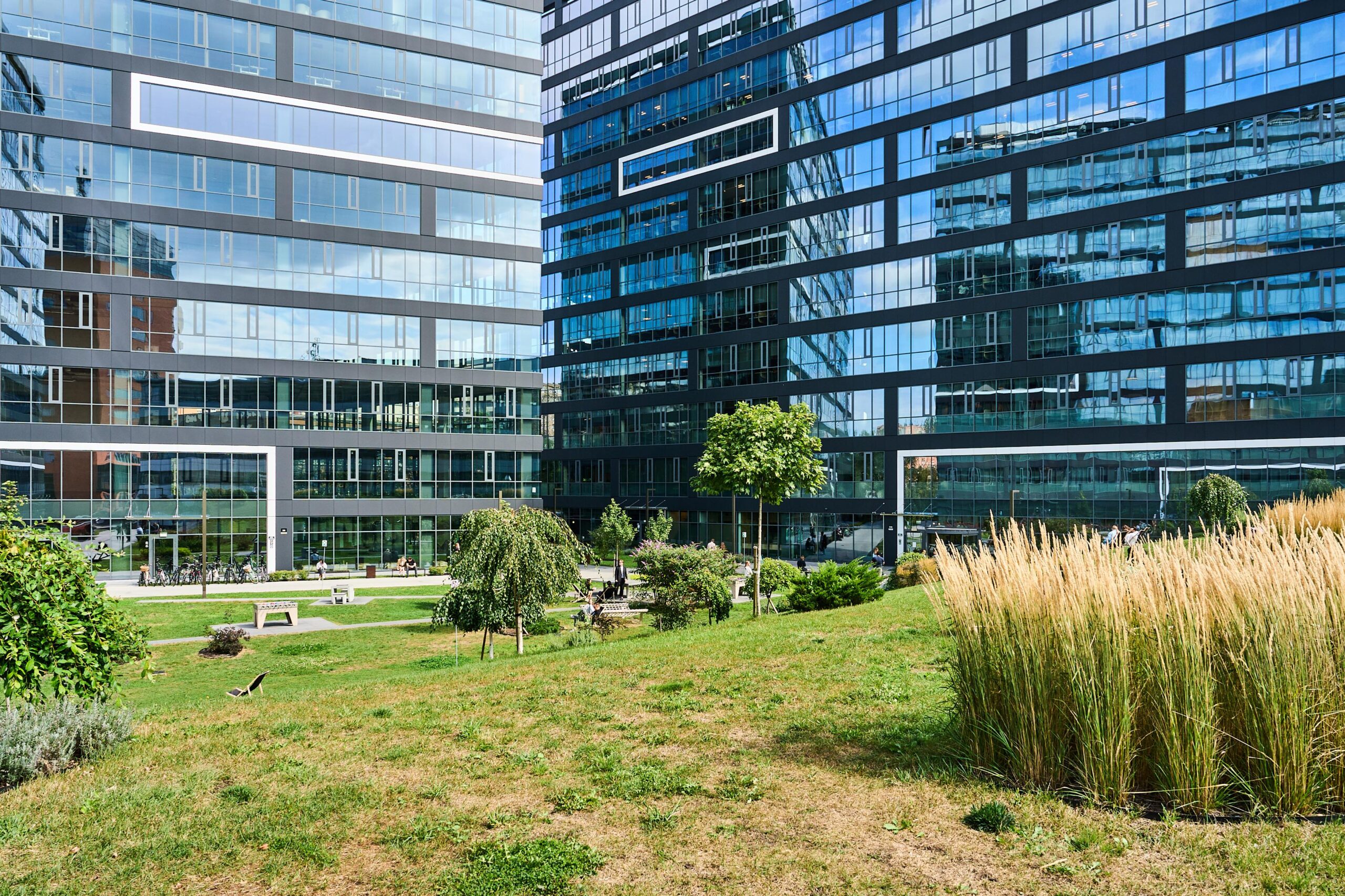 Tertium Business Park B