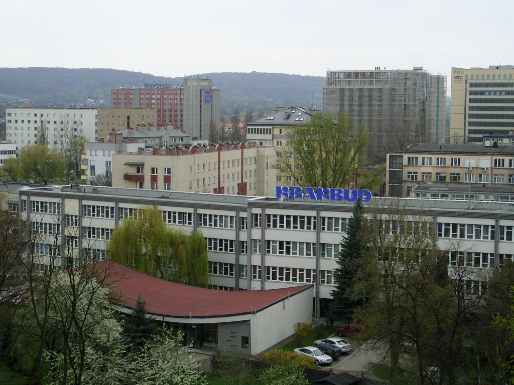 Widok lewy