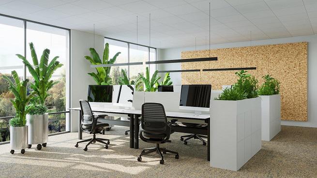 V. Offices